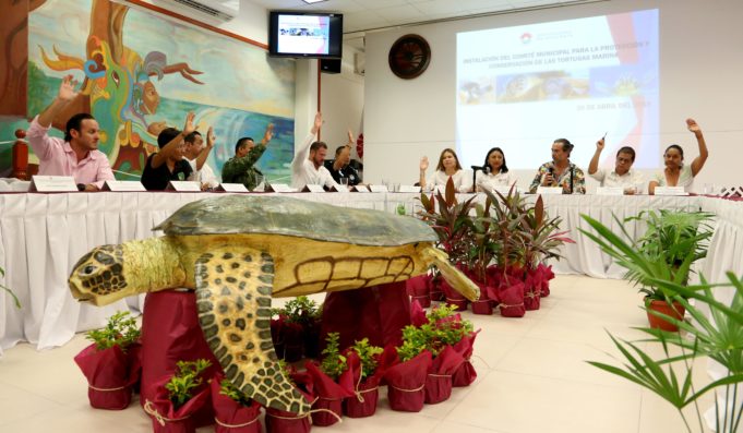 Se instala Comité de Protección y Conservación a la tortuga marina